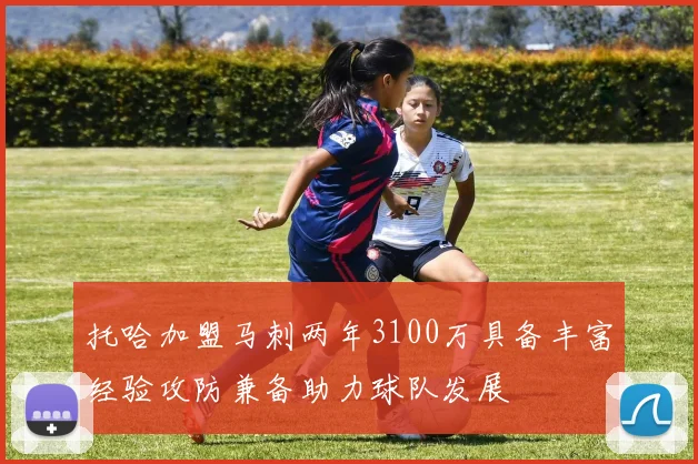 托哈加盟马刺两年3100万具备丰富经验攻防兼备助力球队发展